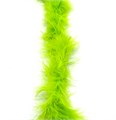 Боа-пух арт.BPKE-11gr цв.41 салатовый (2 шт по 2м) 305380 - фото 251500